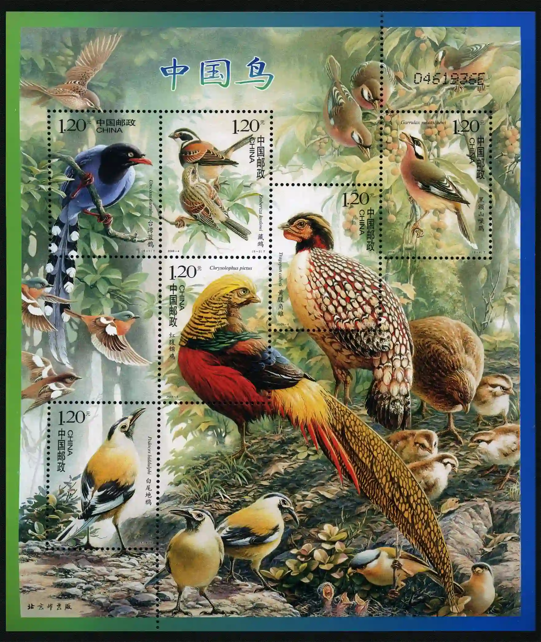 2008-4-中国鸟_结果.webp 2008-4-中国鸟_结果.webp