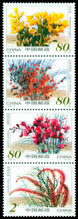 2002-14.jpg 2002-14.jpg