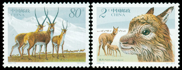 2003-12.jpg 2003-12.jpg