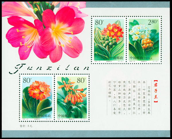 2000-24M.jpg 2000-24M.jpg